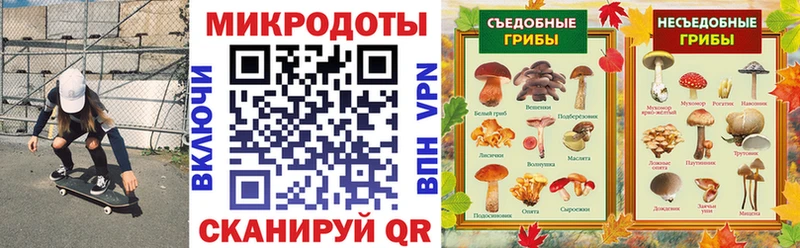 Псилоцибиновые грибы Magic Shrooms  где можно купить   Фрязино 