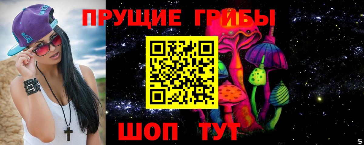 Галлюциногенные грибы прущие грибы  Вход с VPN  Фрязино 
