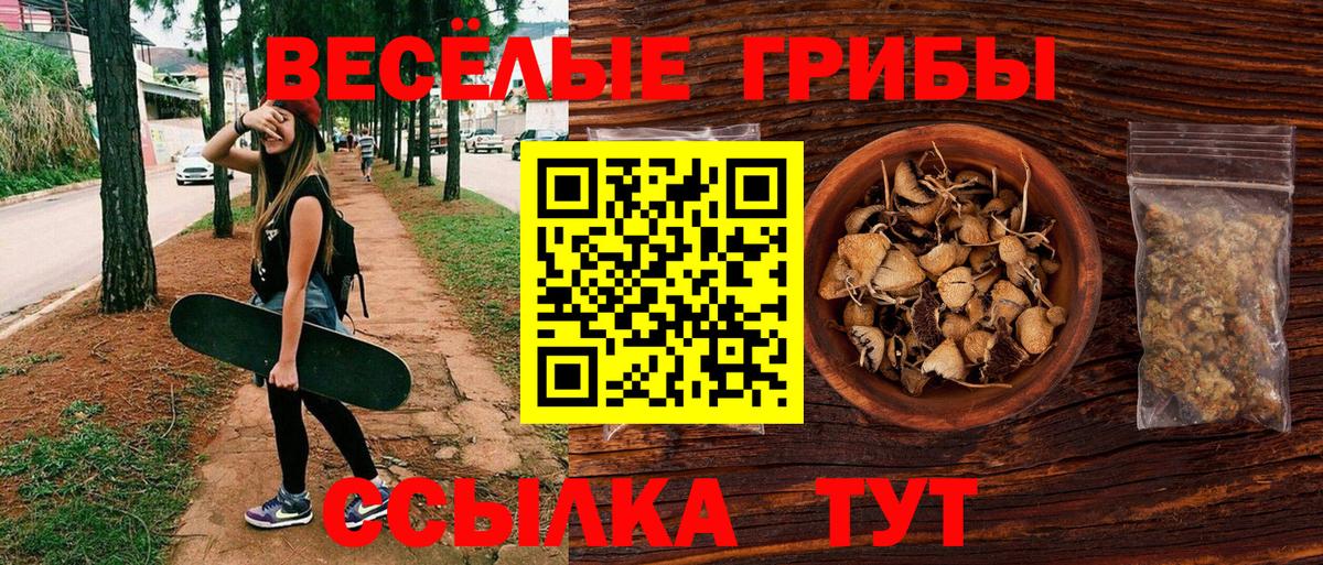 Галлюциногенные грибы GOLDEN TEACHER Фрязино